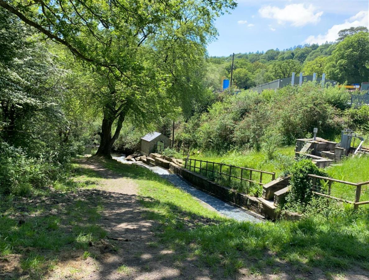 Old Co Op House -Forest Of Dean Bream 외부 사진